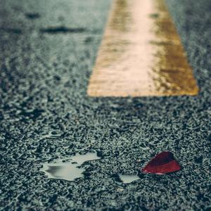 欧美性爱视频在线免费播放
