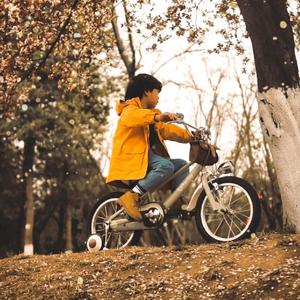 欧美性爱视频在线免费播放
